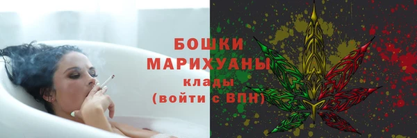 твердый Богородск
