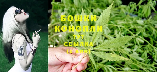 spice Богданович