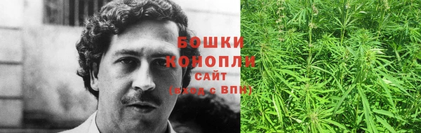 spice Богданович