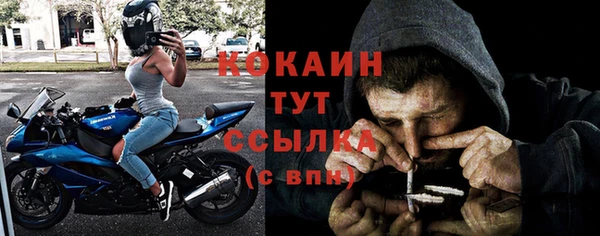 spice Богданович